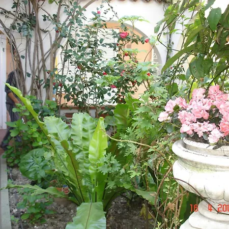 Marina 아파트호텔 디아노마리나